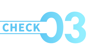 CHECK03